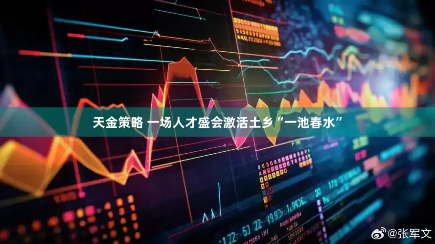 天金策略 一场人才盛会激活土乡“一池春水”