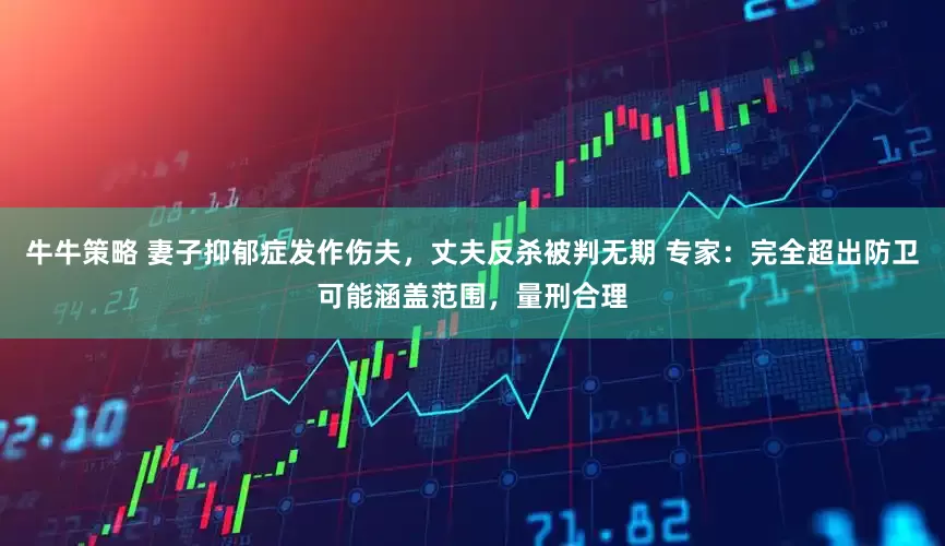 牛牛策略 妻子抑郁症发作伤夫，丈夫反杀被判无期 专家：完全超出防卫可能涵盖范围，量刑合理
