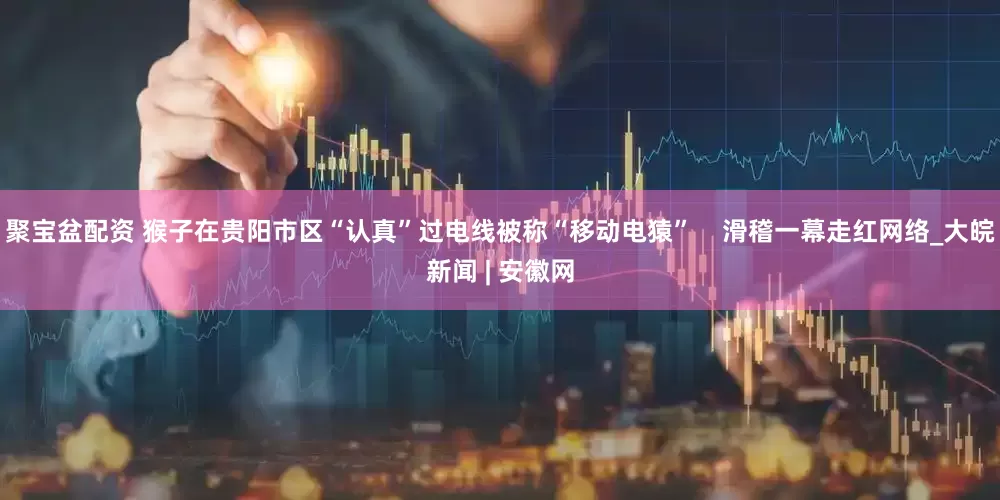 聚宝盆配资 猴子在贵阳市区“认真”过电线被称“移动电猿”    滑稽一幕走红网络_大皖新闻 | 安徽网