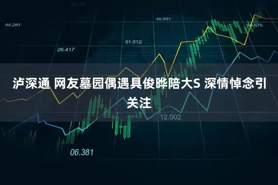 泸深通 网友墓园偶遇具俊晔陪大S 深情悼念引关注