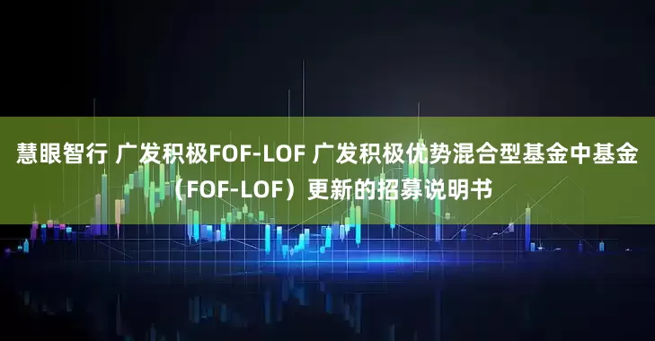 慧眼智行 广发积极FOF-LOF 广发积极优势混合型基金中基金（FOF-LOF）更新的招募说明书