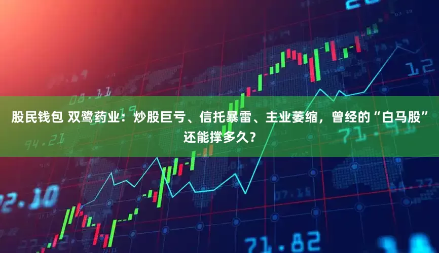股民钱包 双鹭药业：炒股巨亏、信托暴雷、主业萎缩，曾经的“白马股”还能撑多久？